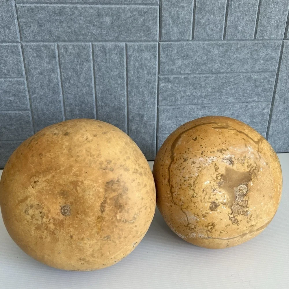 2 Natural Bottle Snowman Gourds Dried Cleaned Fall Decor Crafting